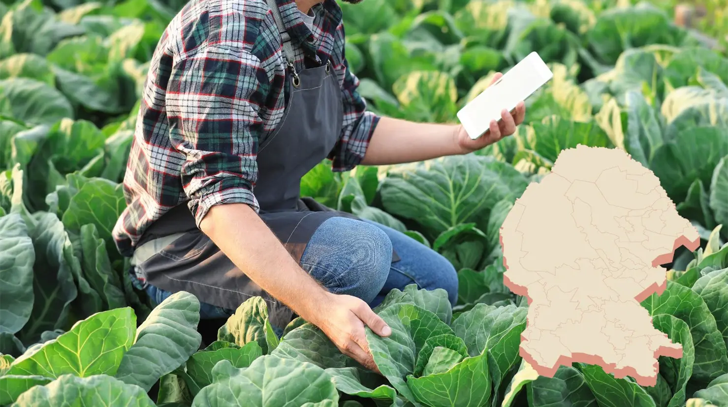 La vacante en Coahuila es para ingenieros agrónomos. (Canva)