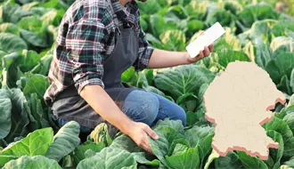 Esta vacante en Paila, Coahuila, frece hasta 35 mil pesos mensuales; así puedes aplicar