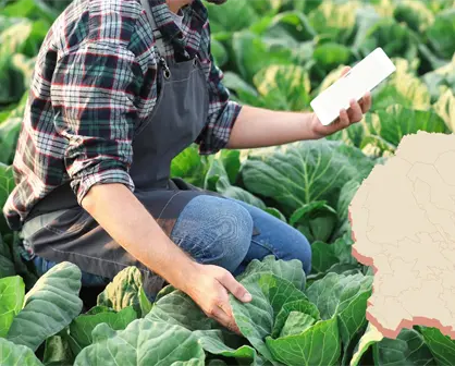 Esta vacante en Paila, Coahuila, ofrece hasta 35 mil pesos mensuales; así puedes aplicar