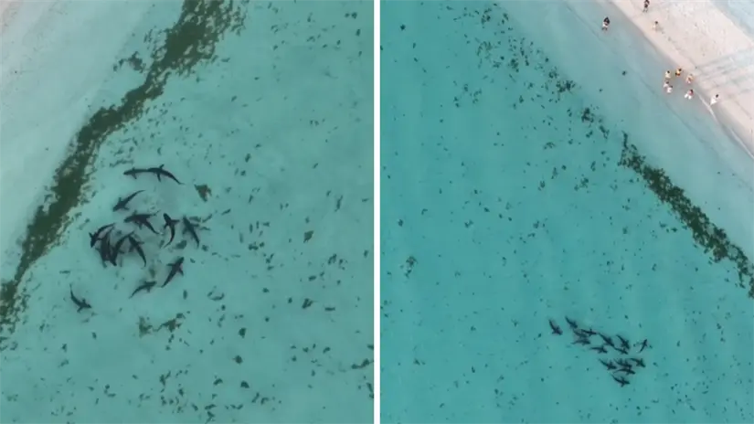 Foto: Leo Explorador / Facebook.