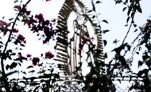 Descubre cómo llegar a la majestuosa Virgen de Guadalupe en el Cerro de la Loma Larga Descubre cómo llegar a la majestuosa Virgen de Guadalupe en el Cerro de la Loma Larga