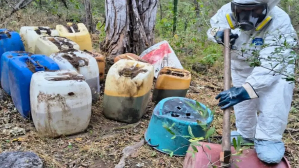 Autoridades destruyen más de 10 áreas de concentración de químicos clandestinas en Culiacán y Cosalá