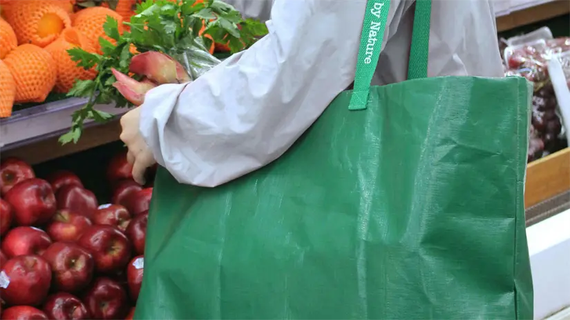 imagen recuadro Foto: Canva.