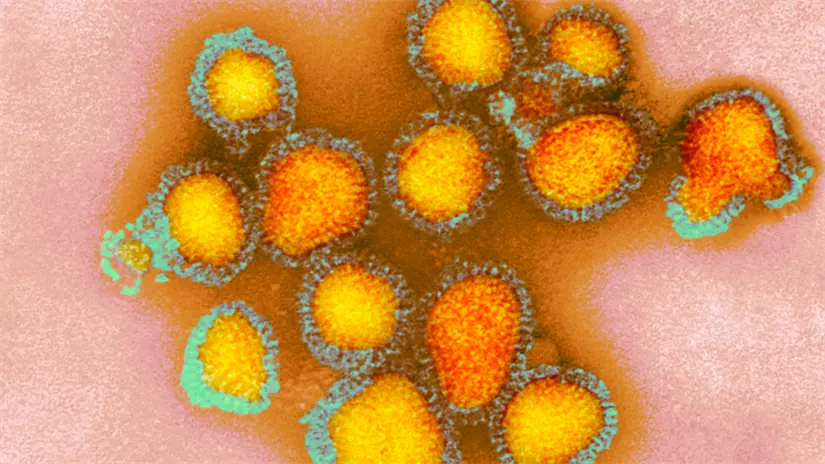 imagen recuadro Los expertos subrayan que la vacunación continúa siendo la medida más eficaz para disminuir el riesgo de complicaciones. Foto: Canva