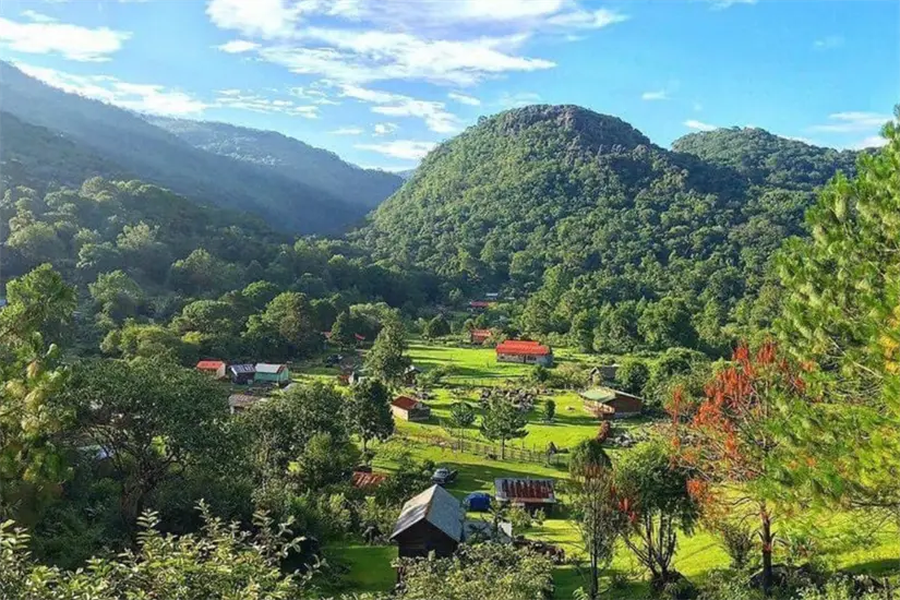 Reserva de la Biosfera del Cielo Foto: Facebook Biosfera El Cielo, Tamaulipas