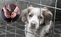 ¡Detenido en García! Cae presunto abusador de animales vinculado a múltiples delitos ¡Detenido en García! Cae presunto abusador de animales vinculado a múltiples delitos