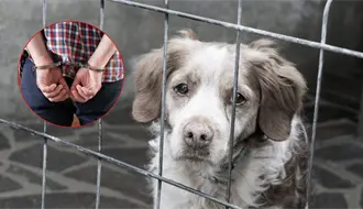 ¡Detenido en García! Cae presunto abusador de animales vinculado a múltiples delitos