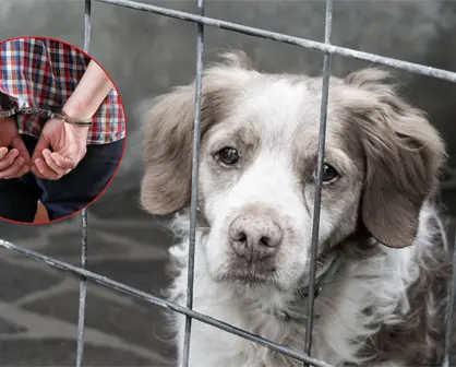 ¡Detenido en García! Cae presunto abusador de animales vinculado a múltiples delitos