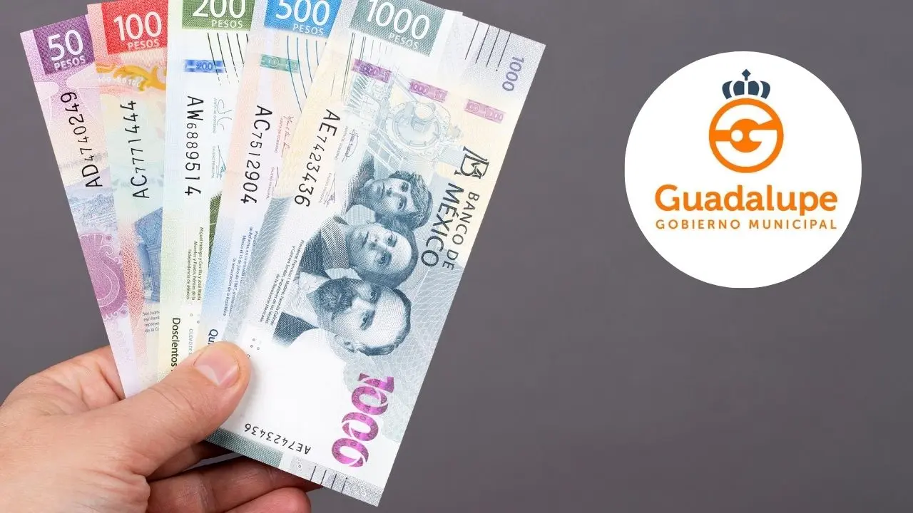 Mano sosteniendo billetes mexicanos con el logo de Guadalupe Foto: Canva