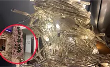 Protección Civil de Durango advierte los peligros por el uso de luces y pinos navideños Protección Civil de Durango advierte los peligros por el uso de luces y pinos navideños