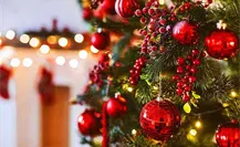 Feria del Pino 2025: ¿cuáles son las tendencias de decoración en Nuevo León? Feria del Pino 2025: ¿cuáles son las tendencias de decoración en Nuevo León?