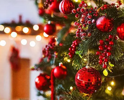 Feria del Pino 2025: ¿cuáles son las tendencias de decoración en Nuevo León?