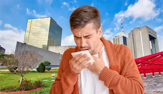 ¿Gripe H3N2 en Nuevo León? Qué se sabe de la variante K y su impacto actual