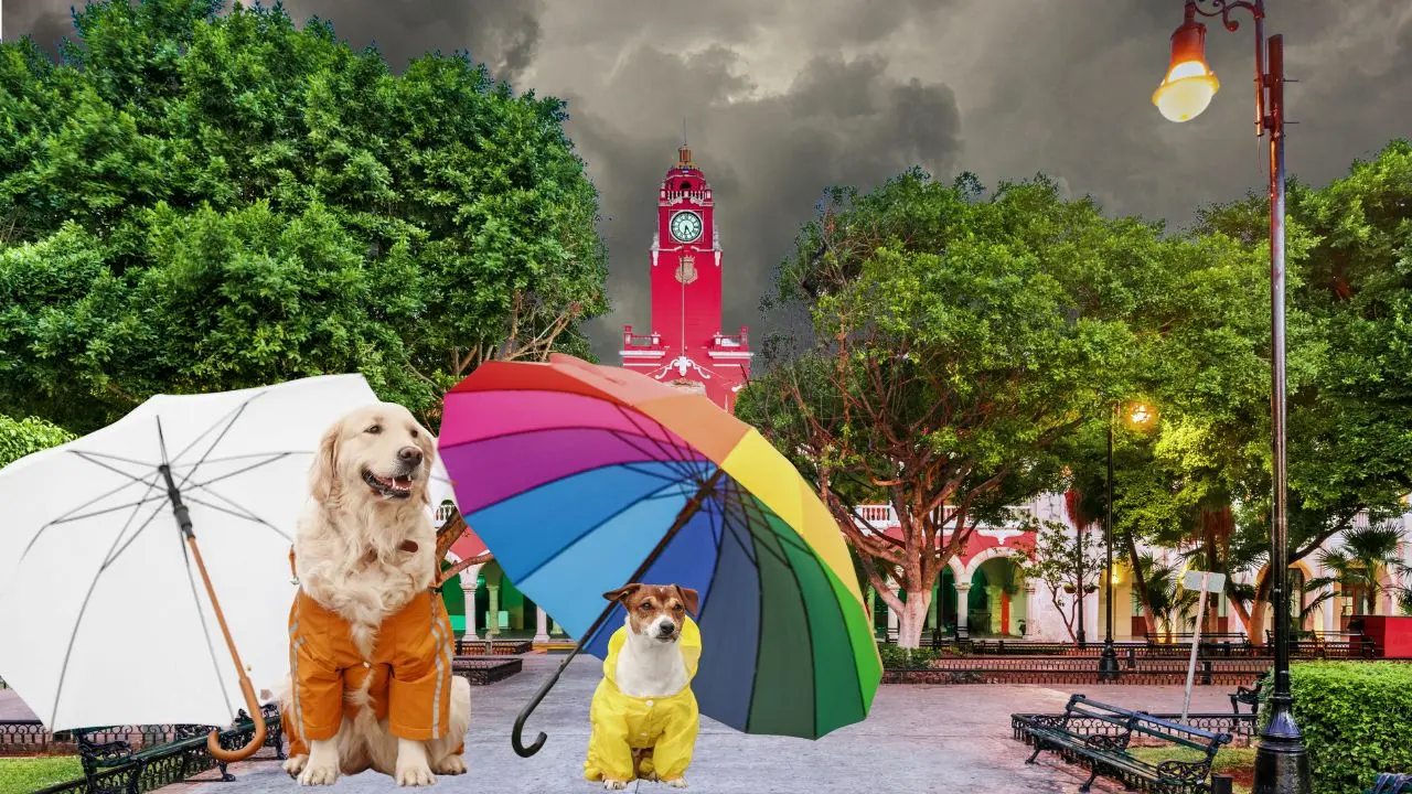 Un nuevo frente frío está activo en la región. Foto: Canva