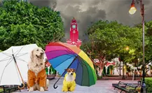 Frente Frío Jabín: ¿Al fin llegarán las lluvias y heladez de diciembre a Yucatán? Frente Frío Jabín: ¿Al fin llegarán las lluvias y heladez de diciembre a Yucatán?