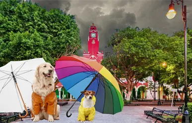 Frente Frío Jabín: ¿Al fin llegarán las lluvias y heladez de diciembre a Yucatán?