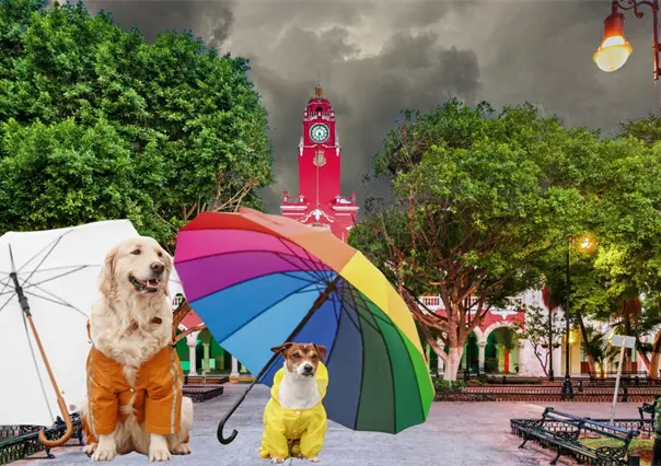 Frente Fr&iacute;o Jab&iacute;n: &iquest;Al fin llegar&aacute;n las lluvias y heladez de diciembre a Yucat&aacute;n?