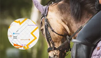 ¡Atención Salinas Victoria! Cabalgata traerá cierres de calles, aquí te contamos el recorrido