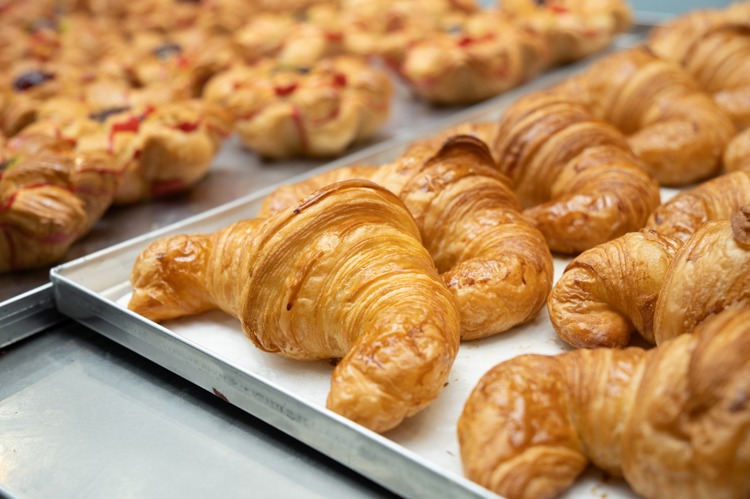 imagen-cuerpo imagen-cuerpo