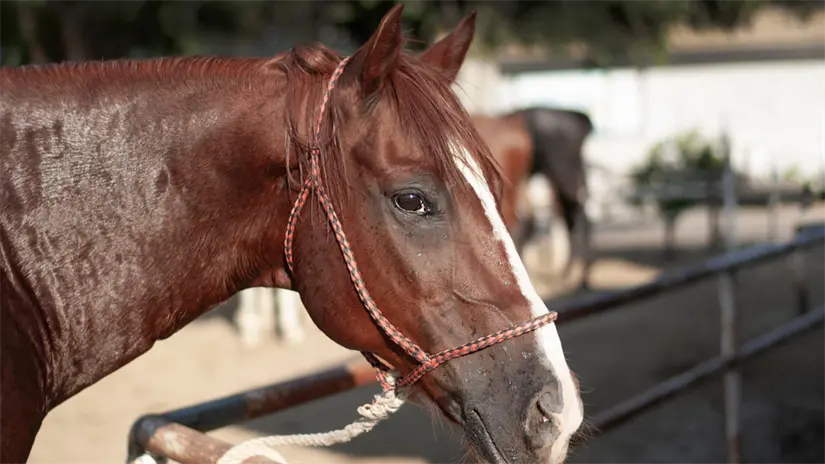 imagen recuadro Foto: Biblioteca Canva.