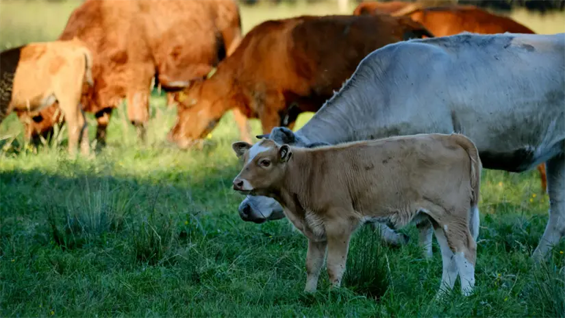 imagen recuadro Foto: Biblioteca Canva.