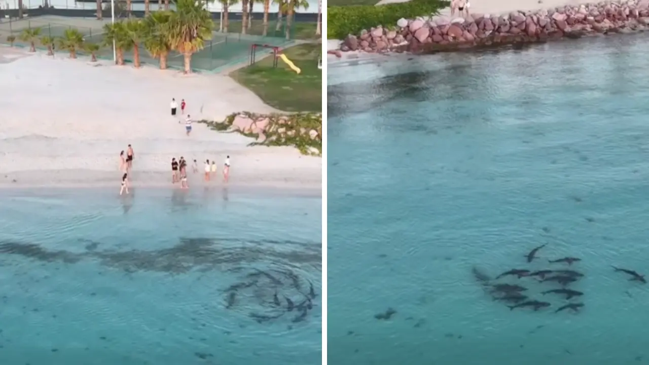 Foto: Leo Explorador / Facebook.