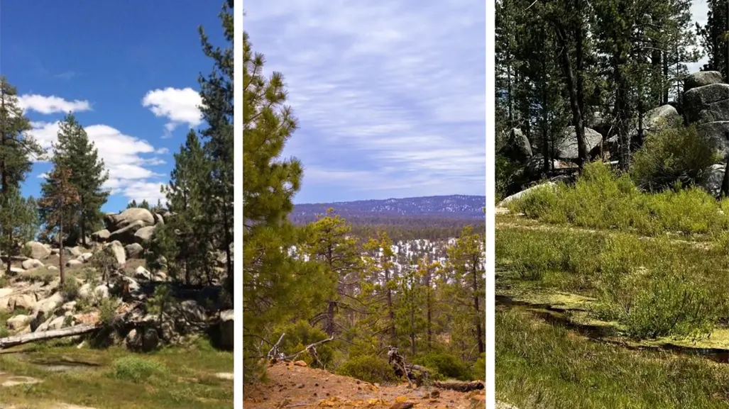Vacaciones de invierno en San Pedro Mártir: 3 lugares que parecen sacados de un cuento