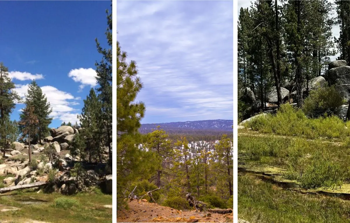 Foto: México Desconocido