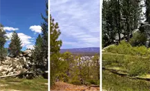 Vacaciones de invierno en San Pedro Mártir: 3 lugares que parecen sacados de un cuento