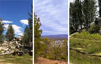Vacaciones de invierno en San Pedro Mártir: 3 lugares que parecen sacados de un cuento