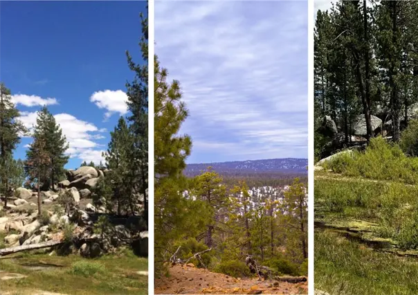 Vacaciones de invierno en San Pedro M&aacute;rtir: 3 lugares que parecen sacados de un cuento