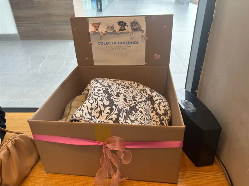 imagen recuadro Clienta sensibilizada con los perros en situación de calle. Foto: POSTA.