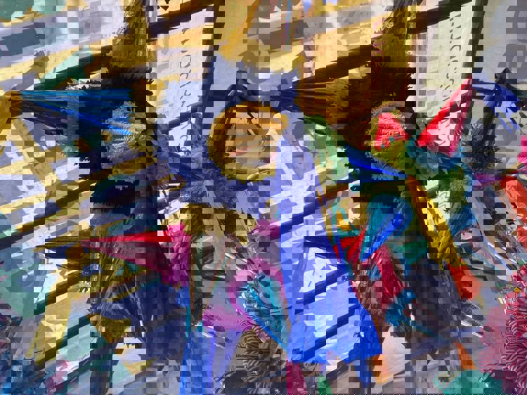 imagen-cuerpo imagen-cuerpo