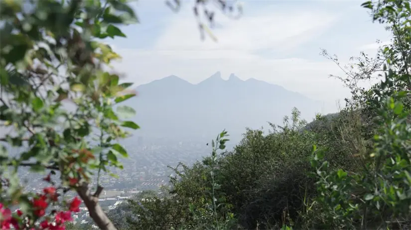 imagen recuadro Explorar la Virgen de Guadalupe en Cerro de la Loma Larga es una aventura que combina devoción y asombrosas vistas panorámicas. Foto: Yarince Torres