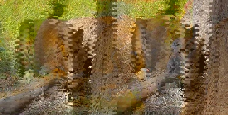 imagen-cuerpo imagen-cuerpo