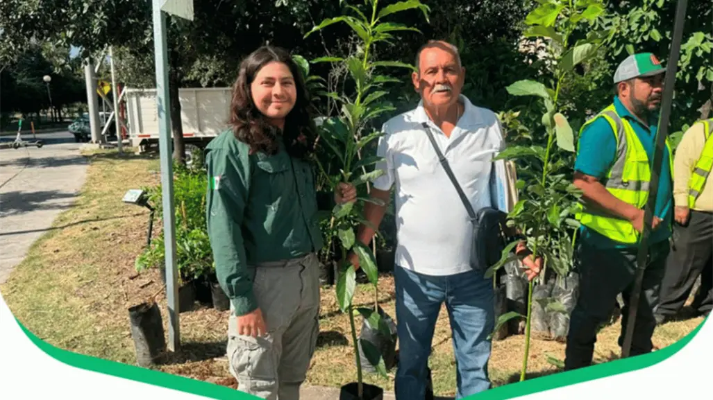 ¿Cómo participar en la Gran Jornada Verde de adopción de árboles nativos en Nuevo León?