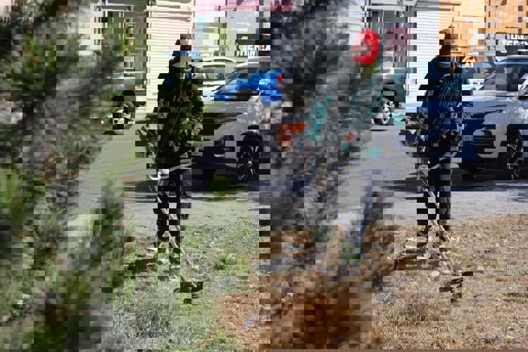 imagen-cuerpo imagen-cuerpo