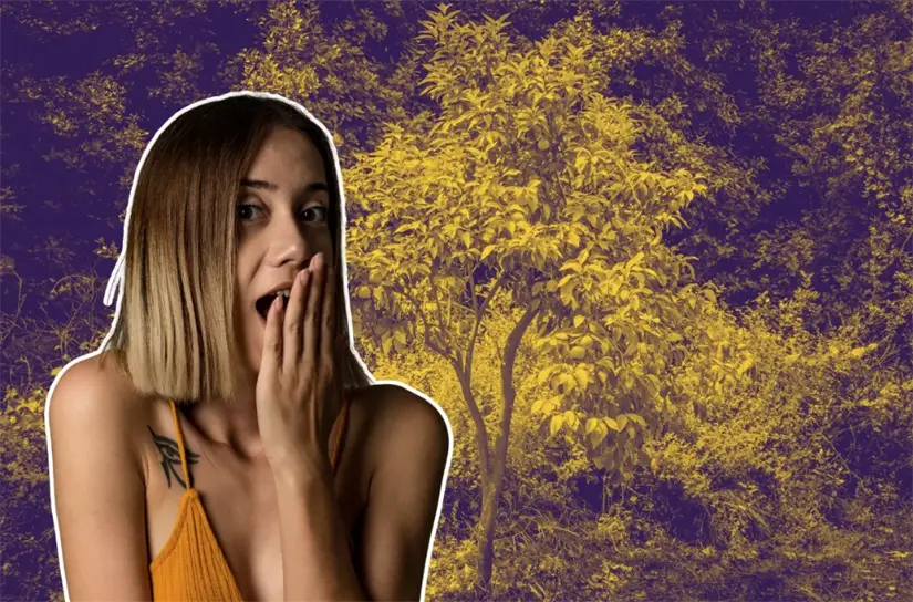 imagen recuadro Una mujer y un árbol. Foto: Canva