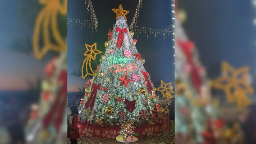 Foto: Enrique O. Beltran Olachea / Facebook.