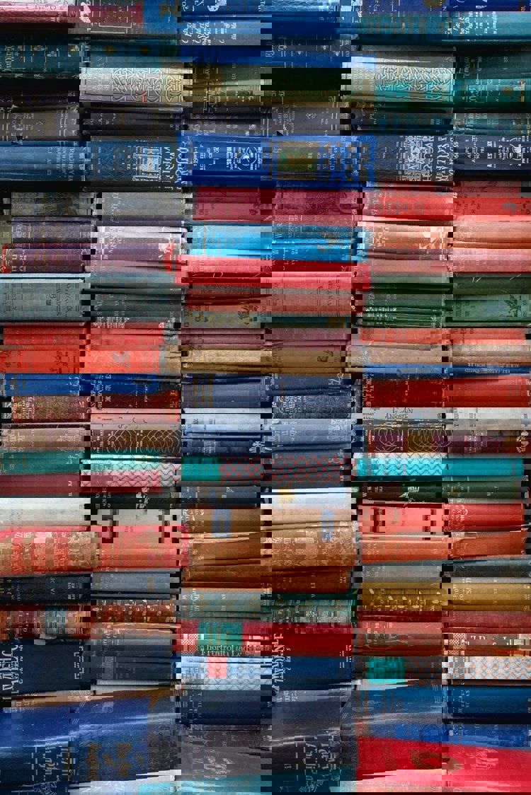 imagen-cuerpo imagen-cuerpo