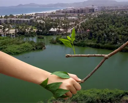 Estero Josefino comienza a recuperarse mientras enfrenta problemas ambientales