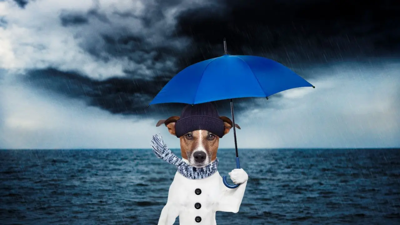 El fenómeno comenzará a intensificarse conforme se acerque el fin de semana. Foto: Canva