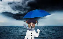 Pronostican la entrada del nuevo frente frío con “heladez” para Yucatán Pronostican la entrada del nuevo frente frío con “heladez” para Yucatán