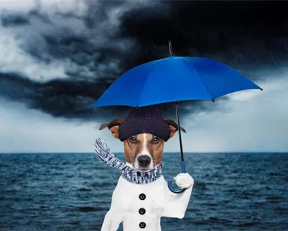 Pronostican la entrada del nuevo frente fr&iacute;o  con "heladez" para Yucat&aacute;n