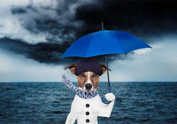 Pronostican la entrada del nuevo frente fr&iacute;o  con "heladez" para Yucat&aacute;n