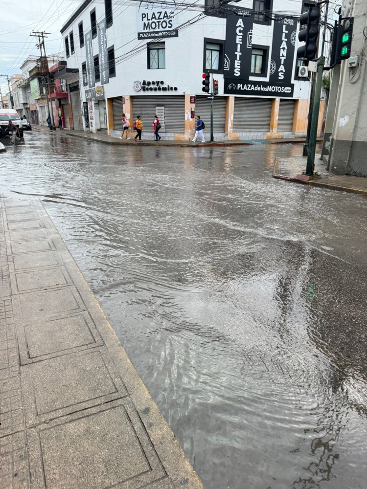 imagen-cuerpo imagen-cuerpo