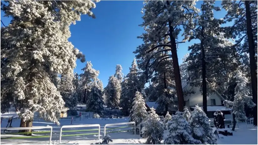 imagen recuadro Foto: Noro.