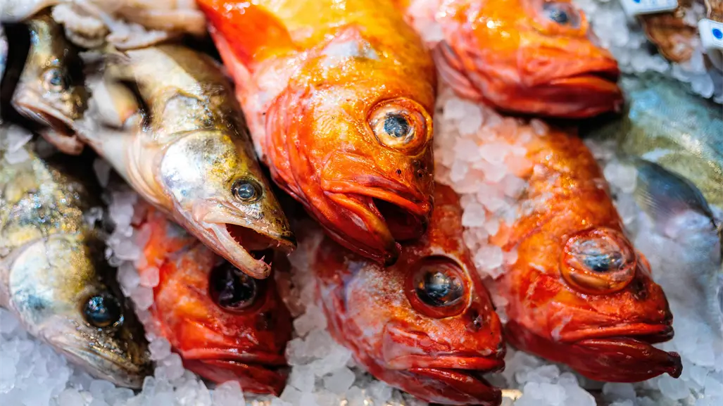 El 40% del pescado que se consume en México es de origen desconocido y así se siente en Yucatán