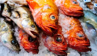 El 40% del pescado que se consume en México es de origen desconocido y así se siente en Yucatán