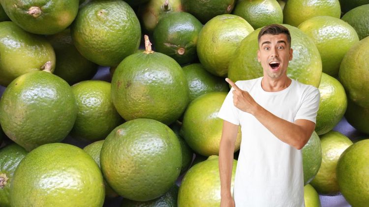 imagen-cuerpo imagen-cuerpo